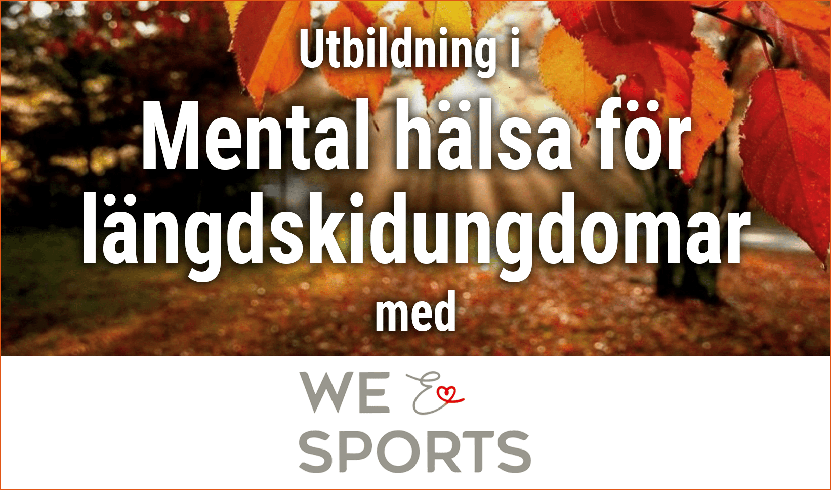 Annons mental hälsa längdskidungdomar sponsring CoreIT